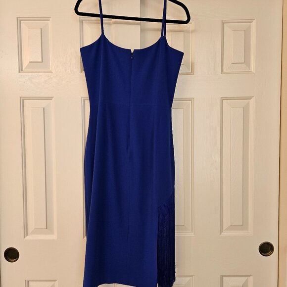 Rory Fringe Cocktail Dress - Picture 8 of 12